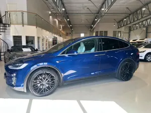 Tesla Model X 2020